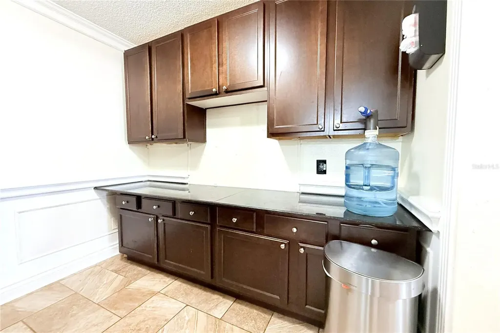 10908 Brightside Drive Tampa FL 33624