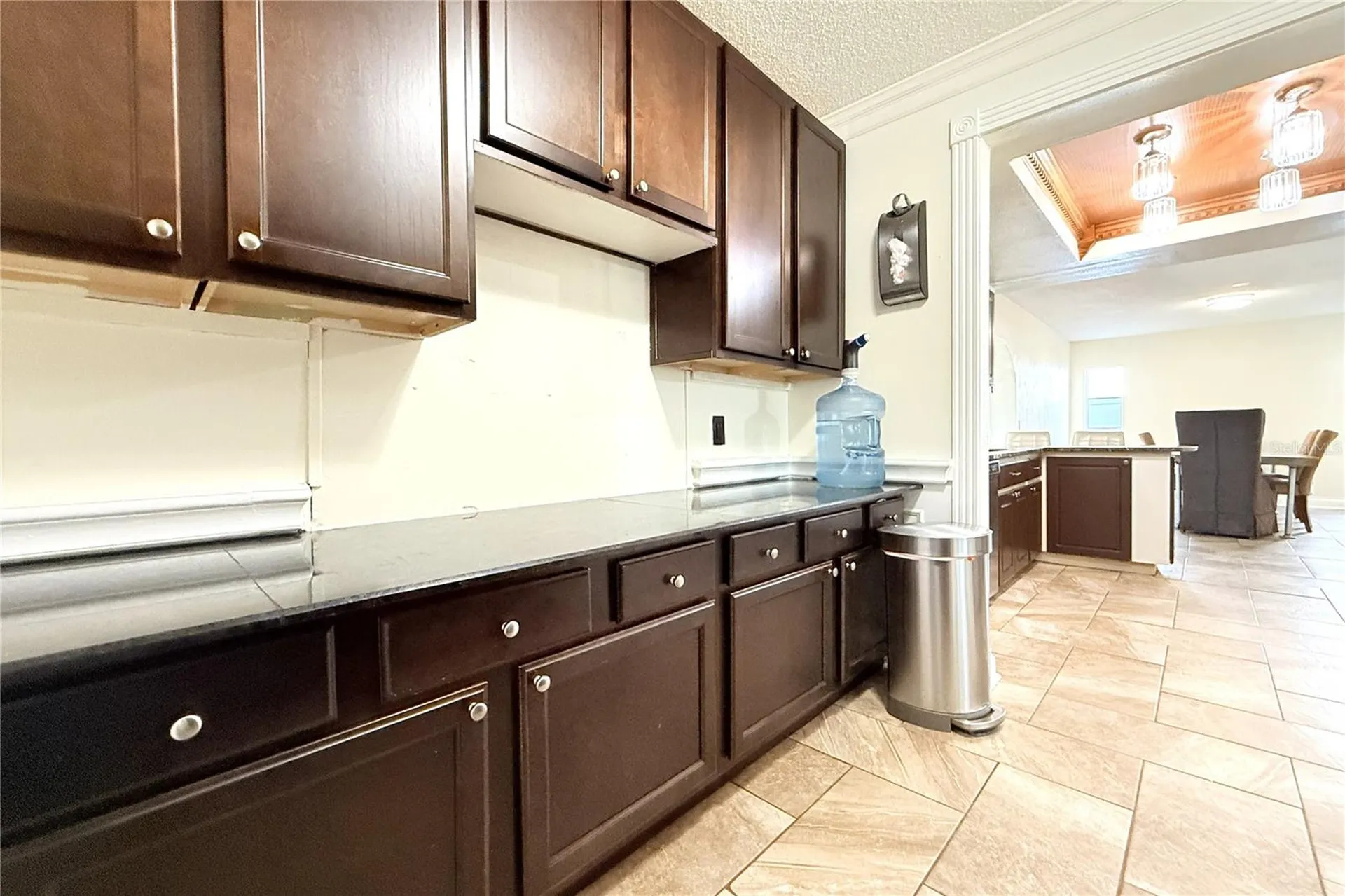 10908 Brightside Drive Tampa FL 33624