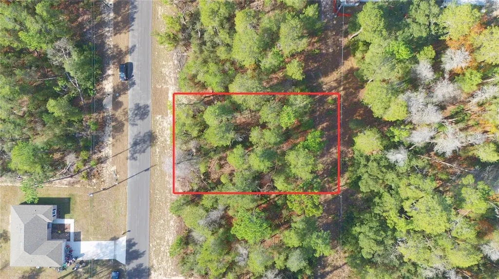 SW 55th Court Road Ocala FL 34473