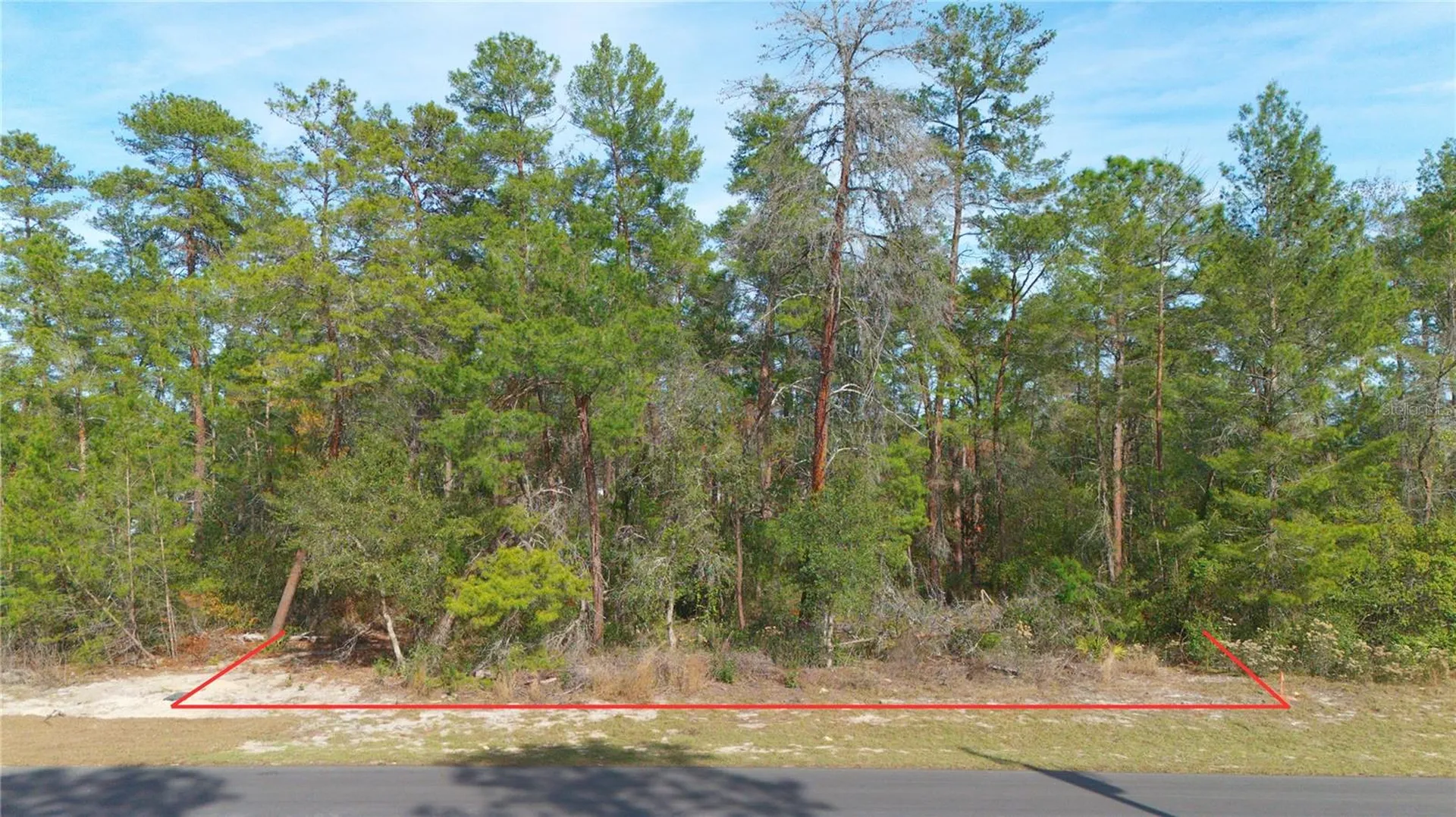 SW 55th Court Road Ocala FL 34473