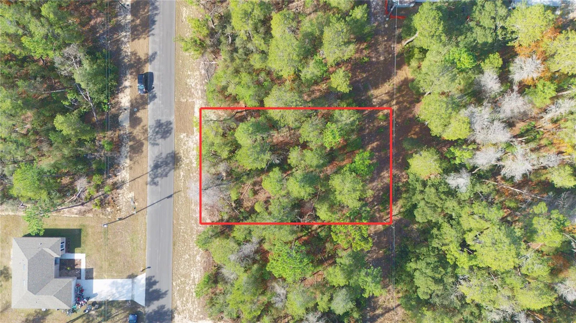 SW 55th Court Road Ocala FL 34473