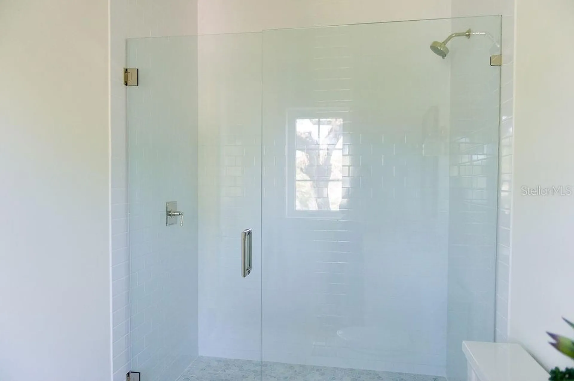 4614 Tennyson Tampa FL 33629