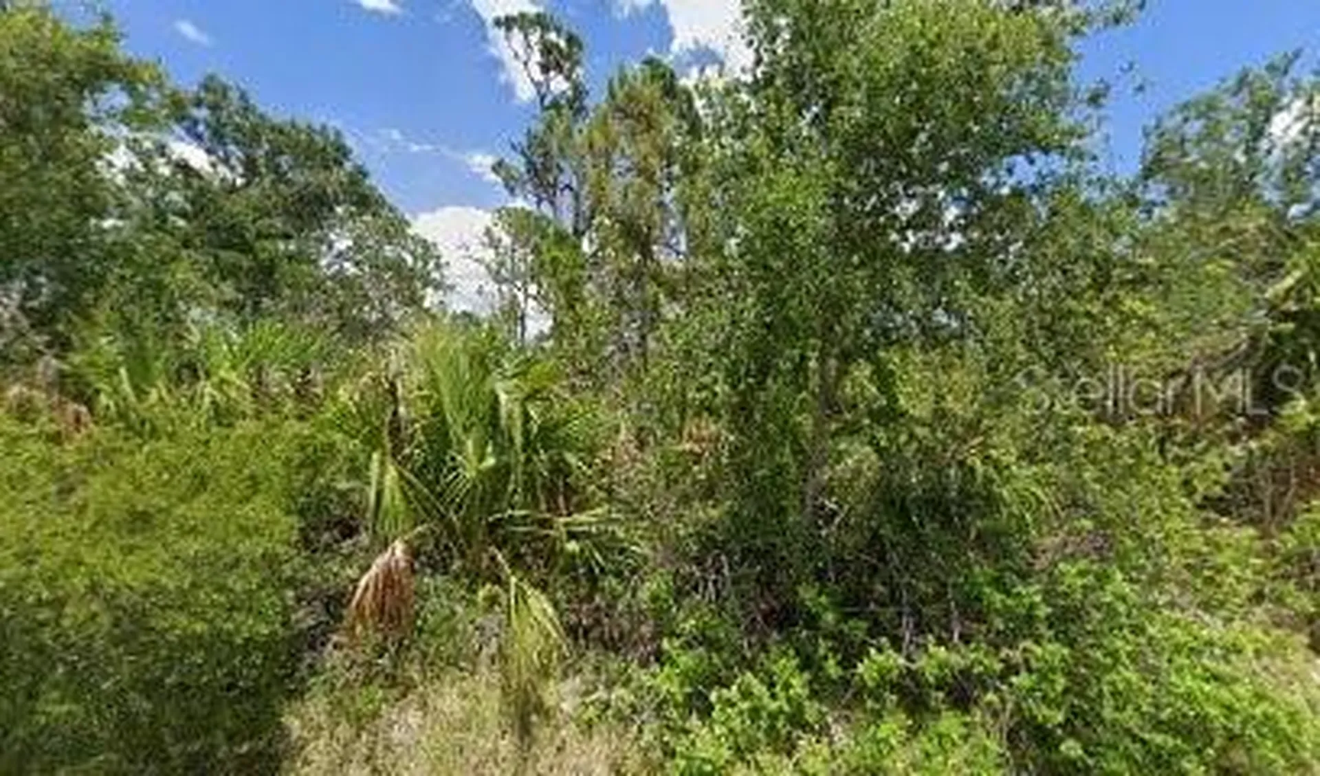 1484 Moree Street Port Charlotte FL 33953