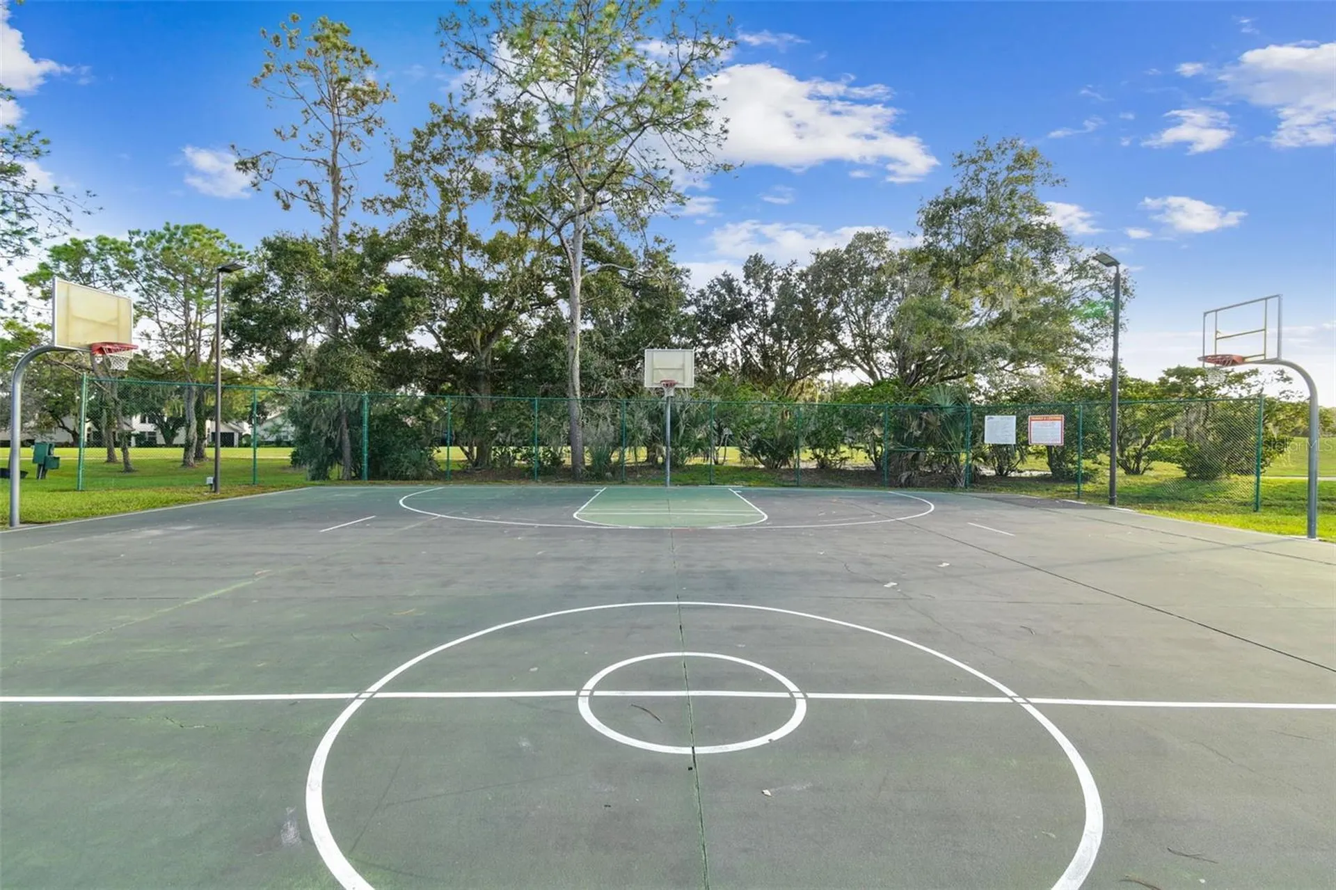 3216 Fox Squirrel Lane Valrico FL 33596