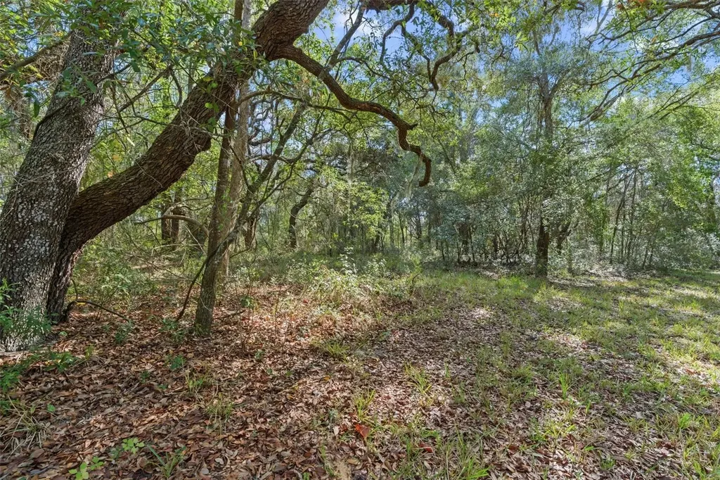 4290 W Norvell Bryant Highway Crystal River FL 34429