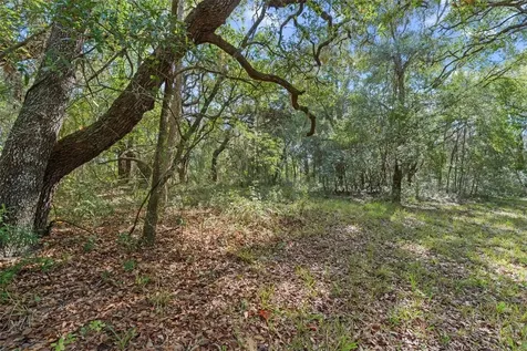 4290 W Norvell Bryant Highway Crystal River FL 34429