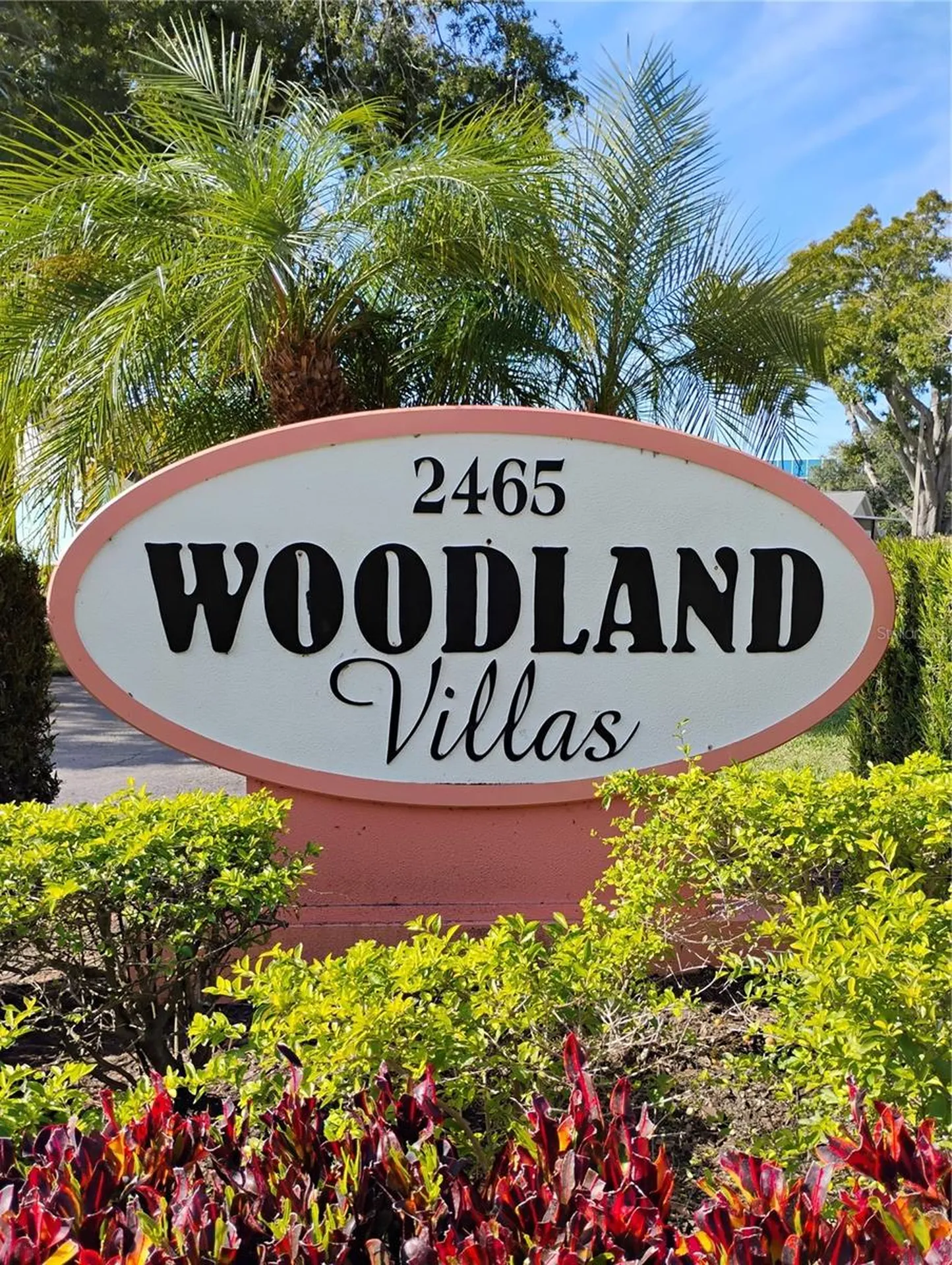 2465 Northside Drive Clearwater FL 33761