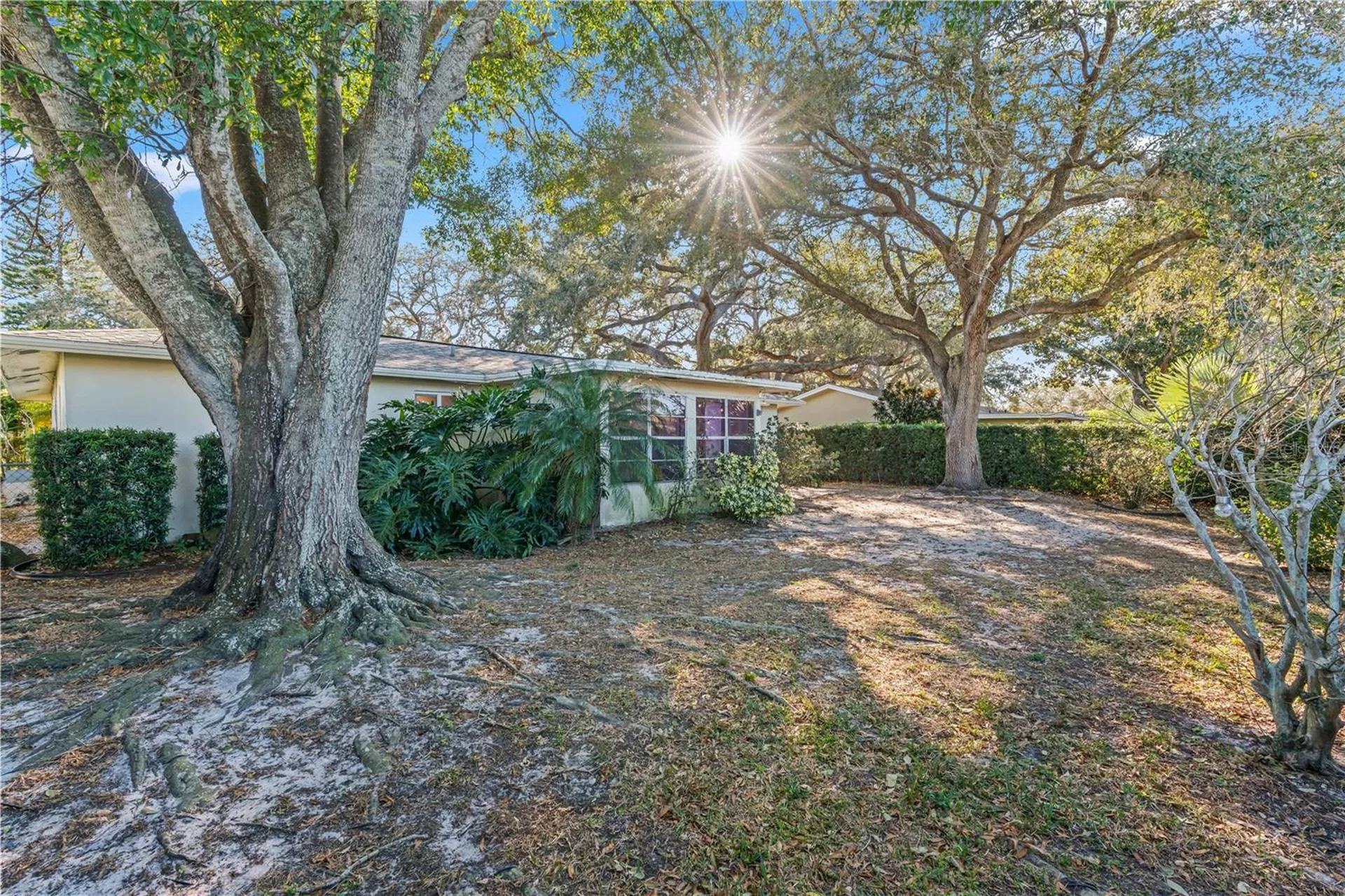 2040 Forest Drive Clearwater FL 33763