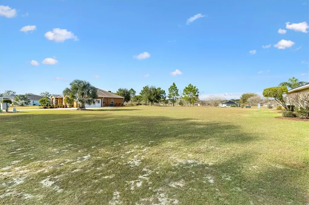 529 Dowling Circle Lady Lake FL 32159