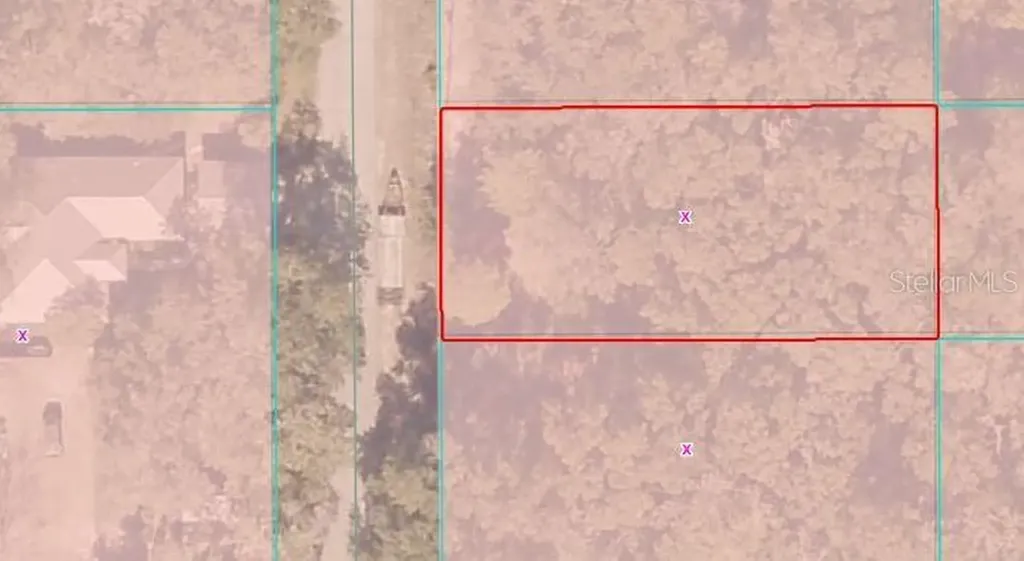 00 SW Driftwood Court Dunnellon FL 34431