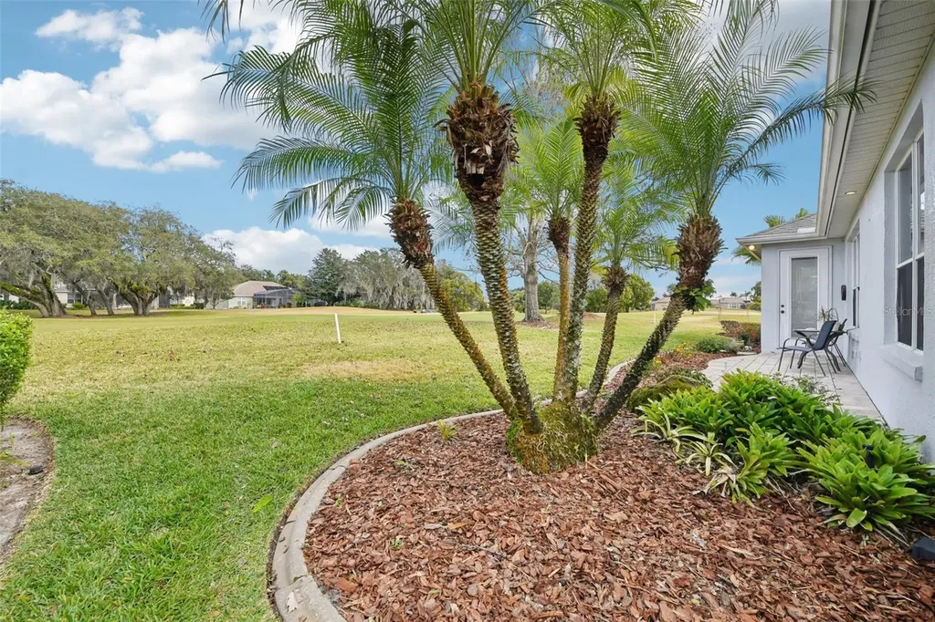 8013 Pine Hollow Drive Mount Dora FL 32757