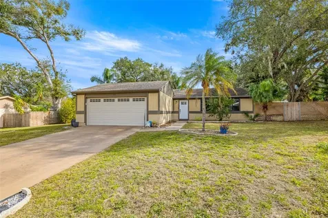 2943 Hanna Court Palm Harbor FL 34684