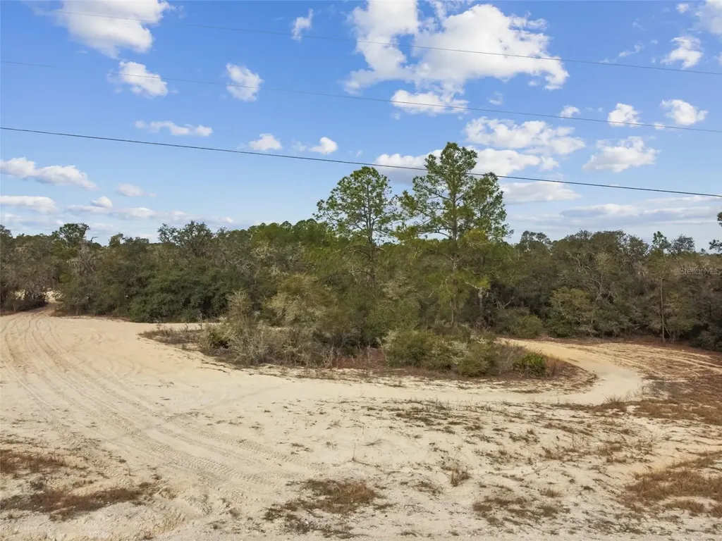 Hardstone Drive Webster FL 33597
