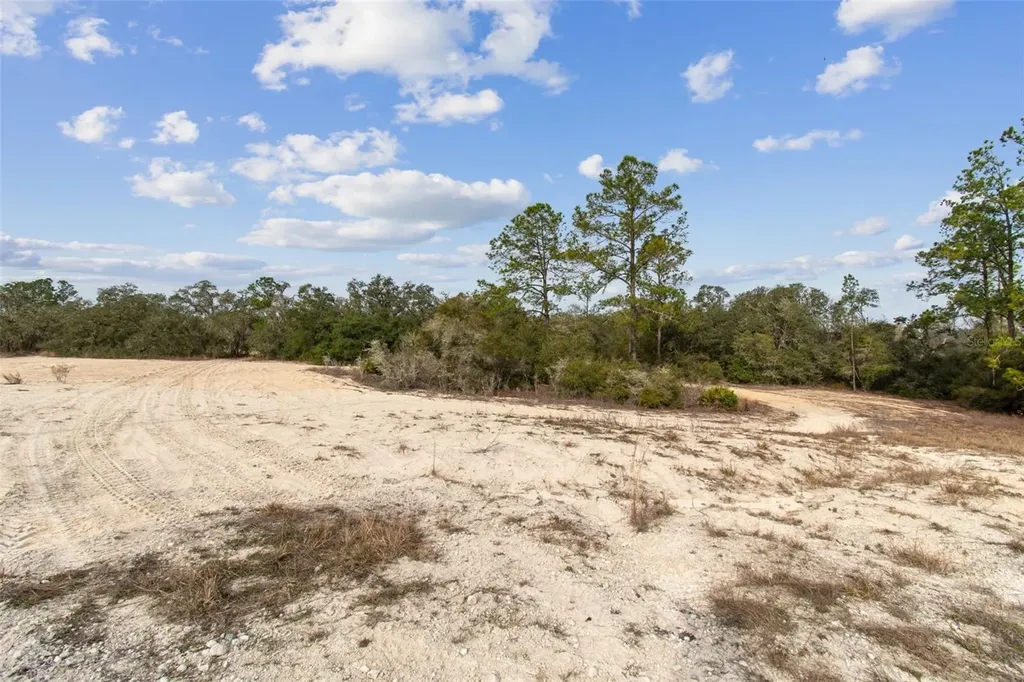 Hardstone Drive Webster FL 33597