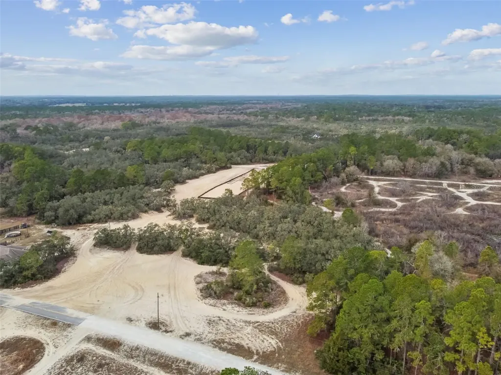 Hardstone Drive Webster FL 33597