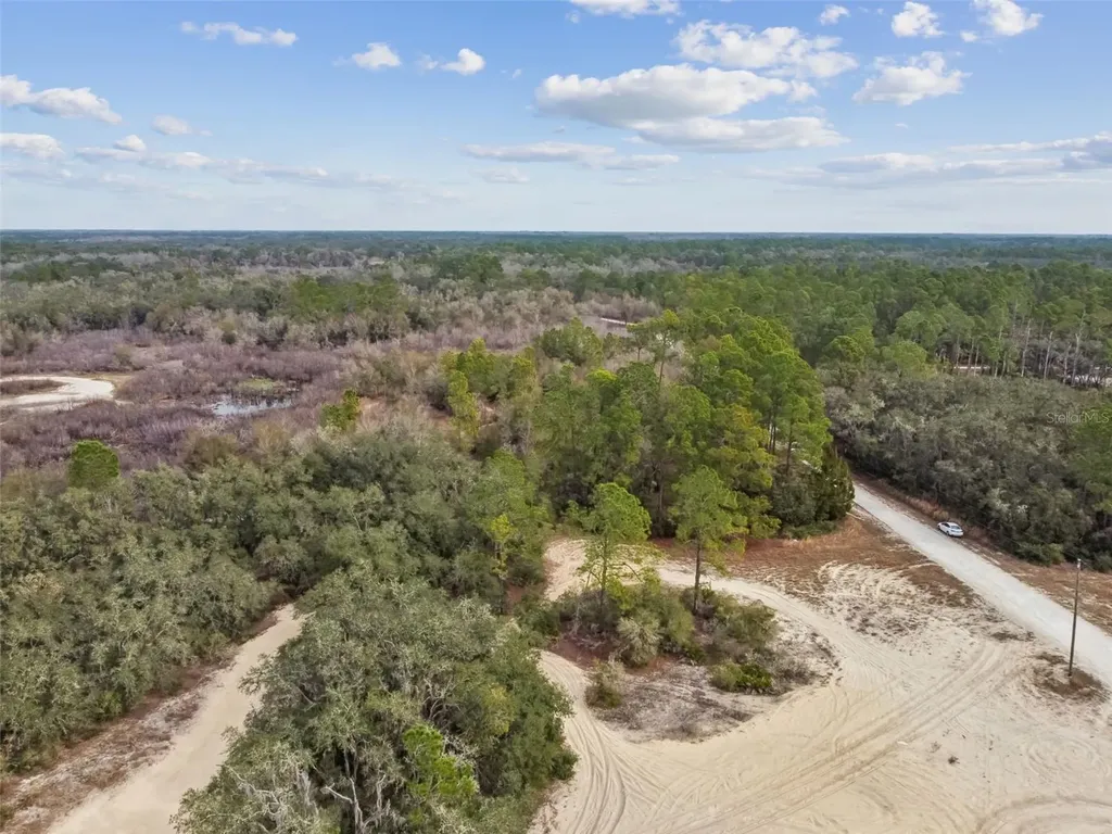 Hardstone Drive Webster FL 33597