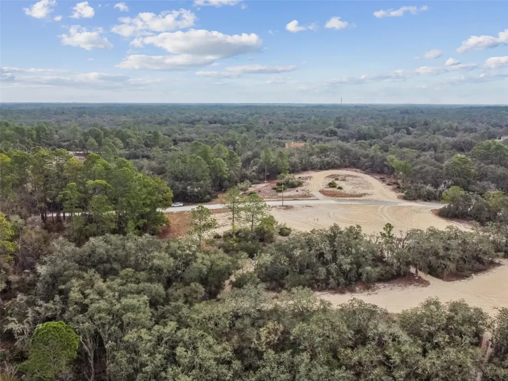 Hardstone Drive Webster FL 33597