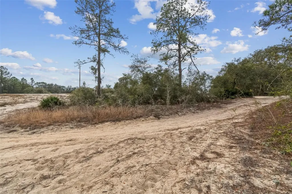 Hardstone Drive Webster FL 33597