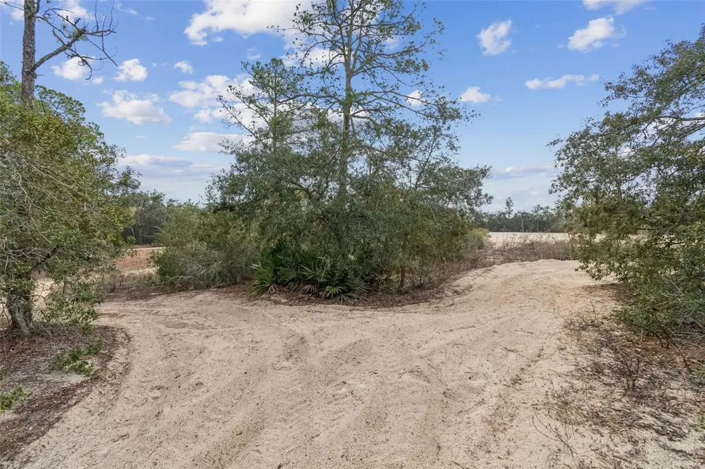 Hardstone Drive Webster FL 33597