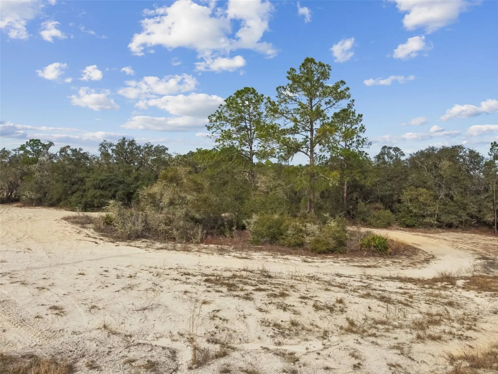 Hardstone Drive Webster FL 33597