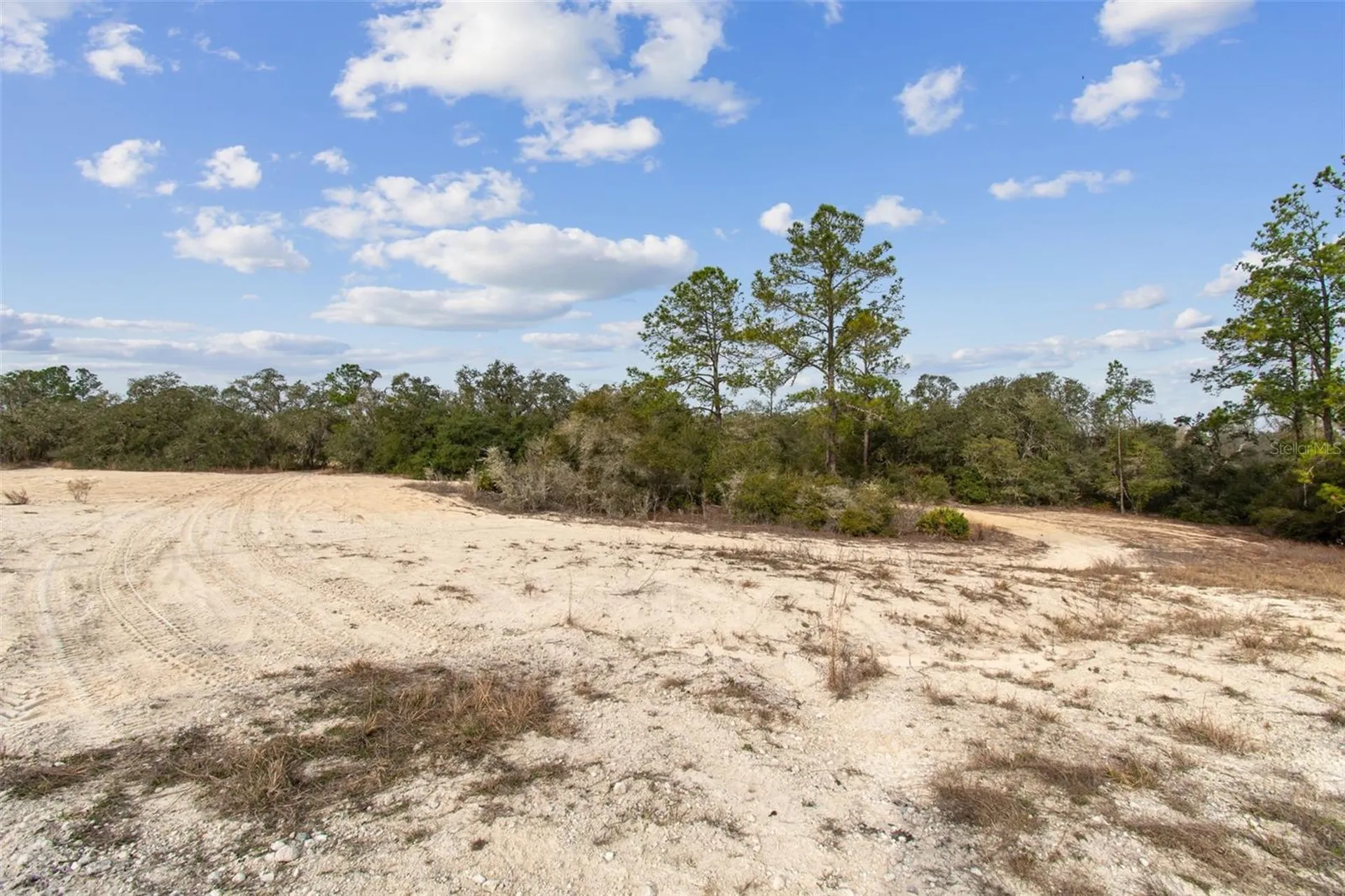 Hardstone Drive Webster FL 33597