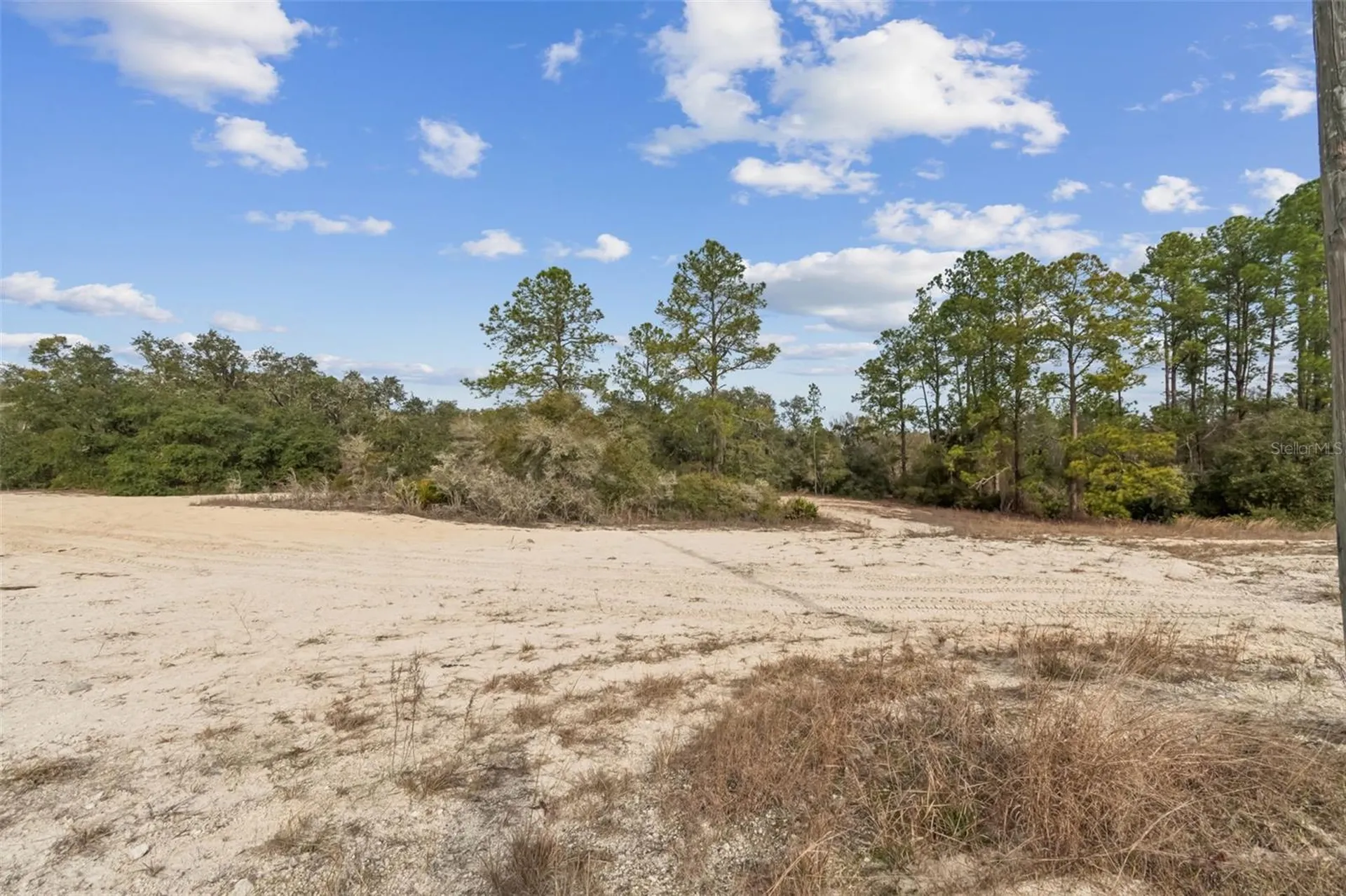 Hardstone Drive Webster FL 33597