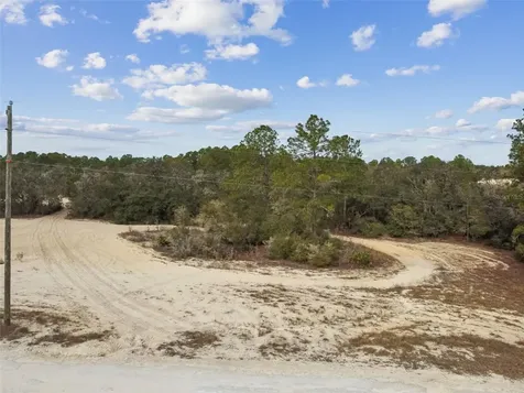 Hardstone Drive Webster FL 33597