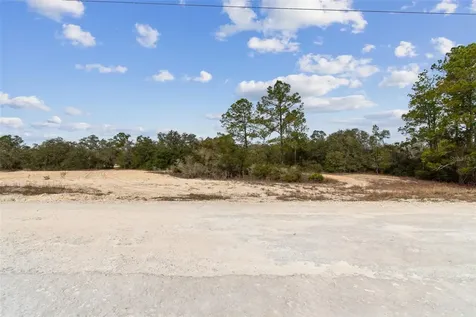 Hardstone Drive Webster FL 33597