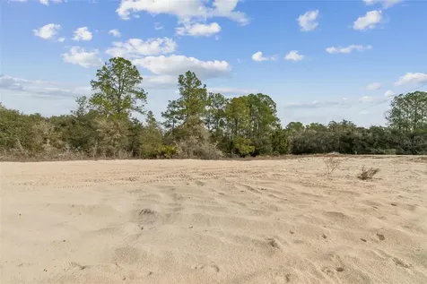 Hardstone Drive Webster FL 33597