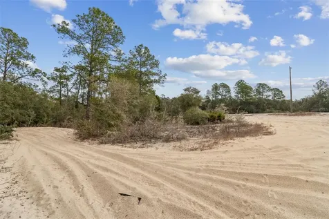 Hardstone Drive Webster FL 33597