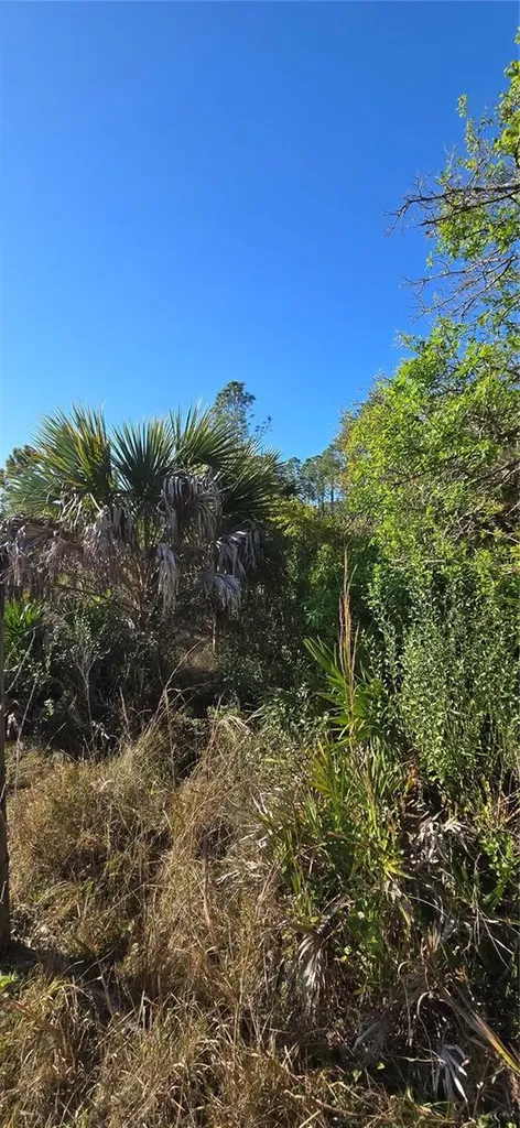 49765 Bermont Road Punta Gorda FL 33982