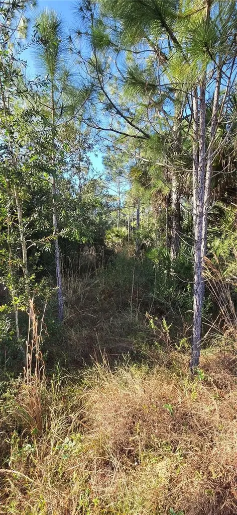 49765 Bermont Road Punta Gorda FL 33982