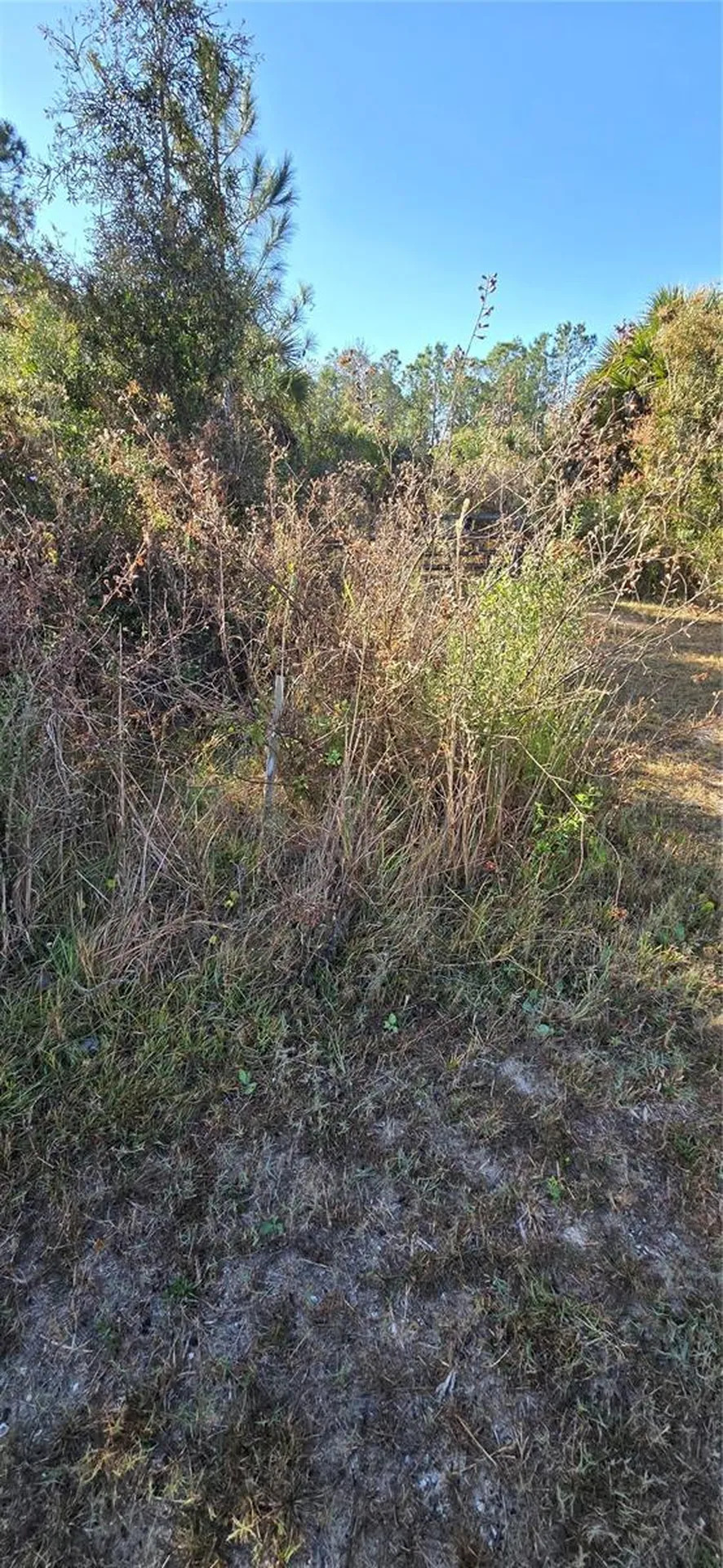 49765 Bermont Road Punta Gorda FL 33982
