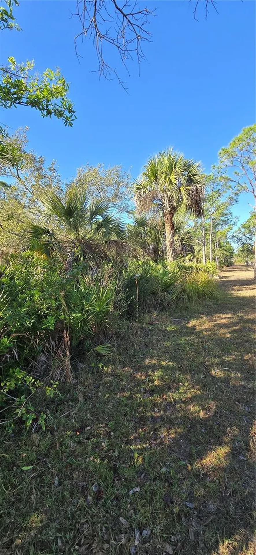 49765 Bermont Road Punta Gorda FL 33982