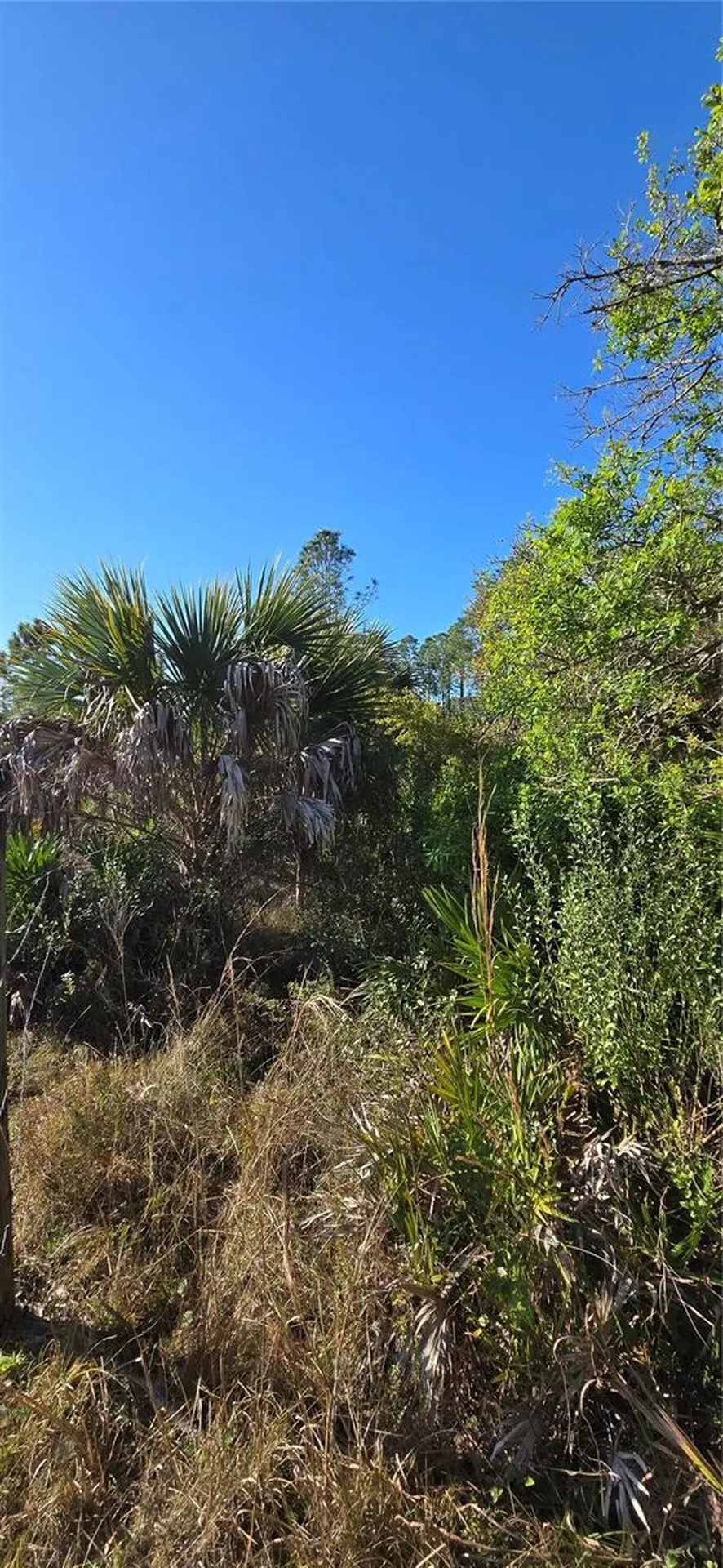 49765 Bermont Road Punta Gorda FL 33982
