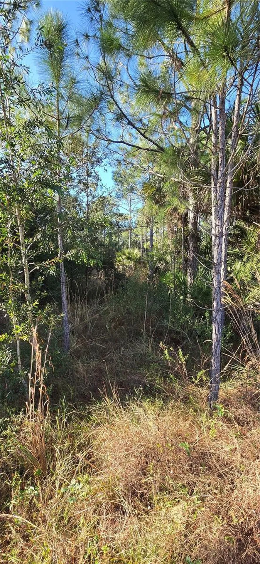 49765 Bermont Road Punta Gorda FL 33982