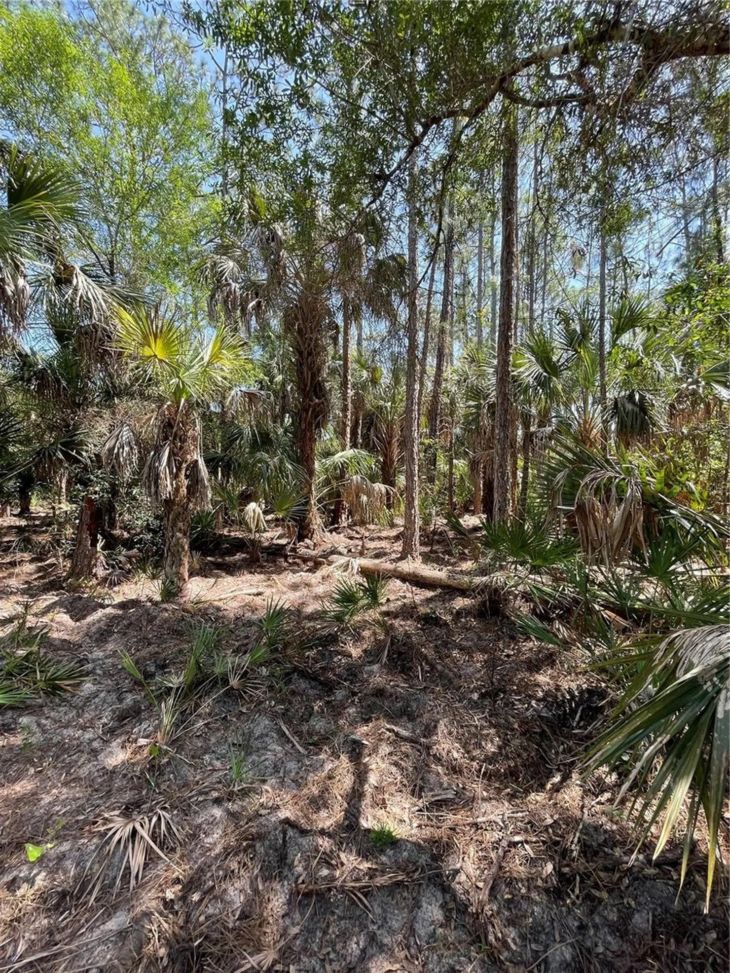 49765 Bermont Road Punta Gorda FL 33982