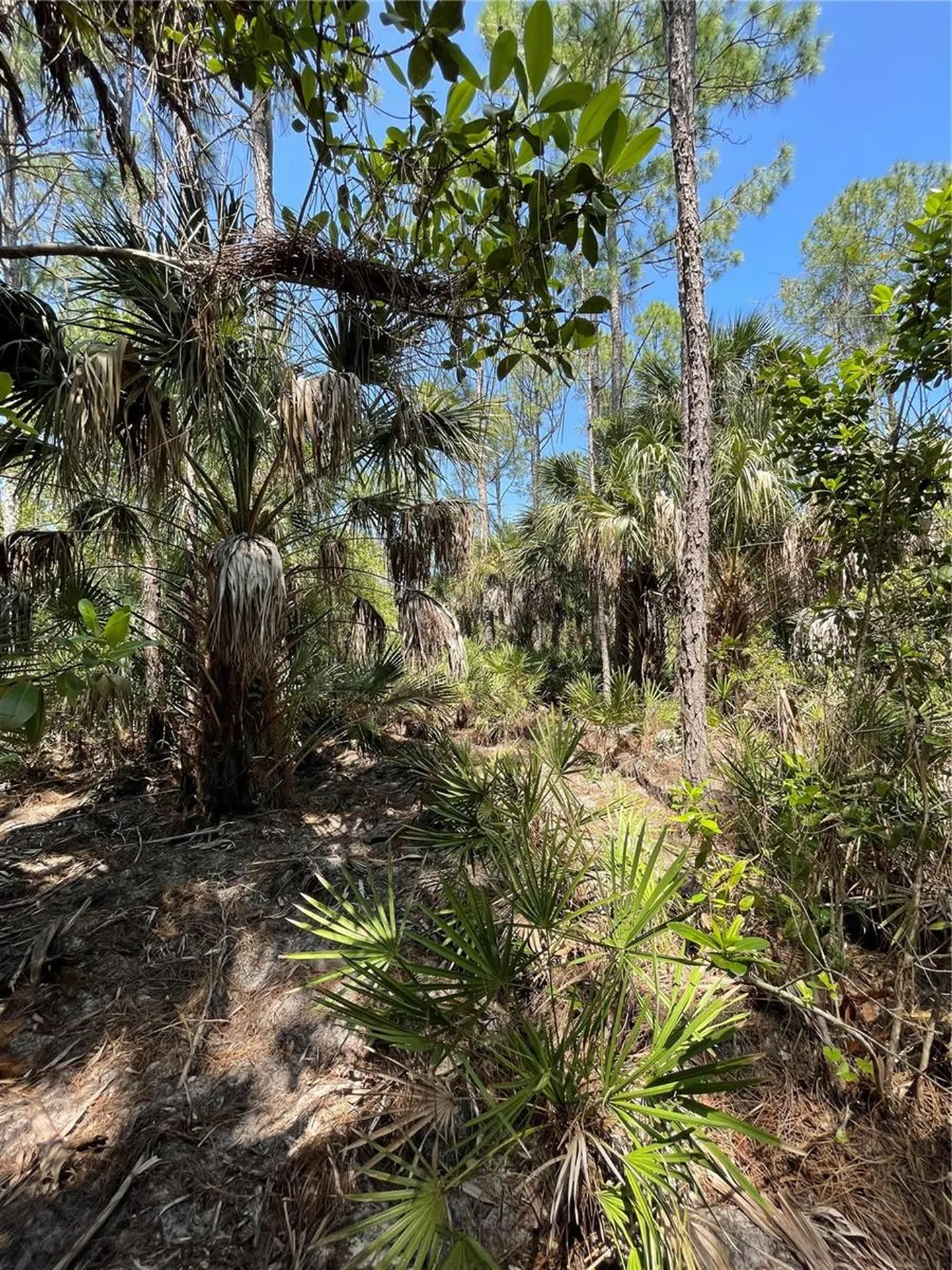 49765 Bermont Road Punta Gorda FL 33982