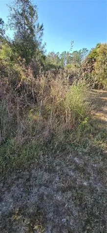 49765 Bermont Road Punta Gorda FL 33982