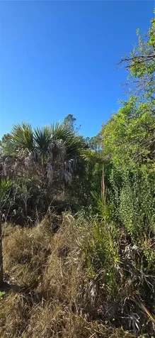 49765 Bermont Road Punta Gorda FL 33982