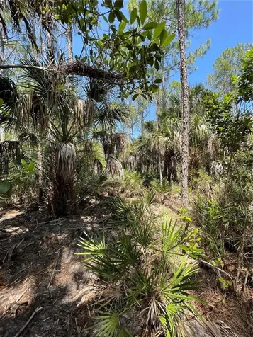 49765 Bermont Road Punta Gorda FL 33982