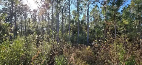 49765 Bermont Road Punta Gorda FL 33982