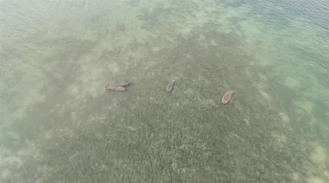 70 Spaniards Road Placida FL 33946