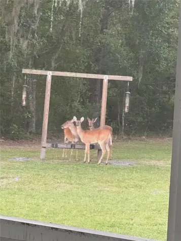 163 NW Amber Court Lake City FL 32055
