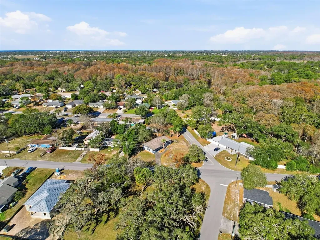 9161 Royal Palm Avenue New Port Richey FL 34654