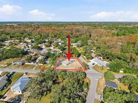 9161 Royal Palm Avenue New Port Richey FL 34654