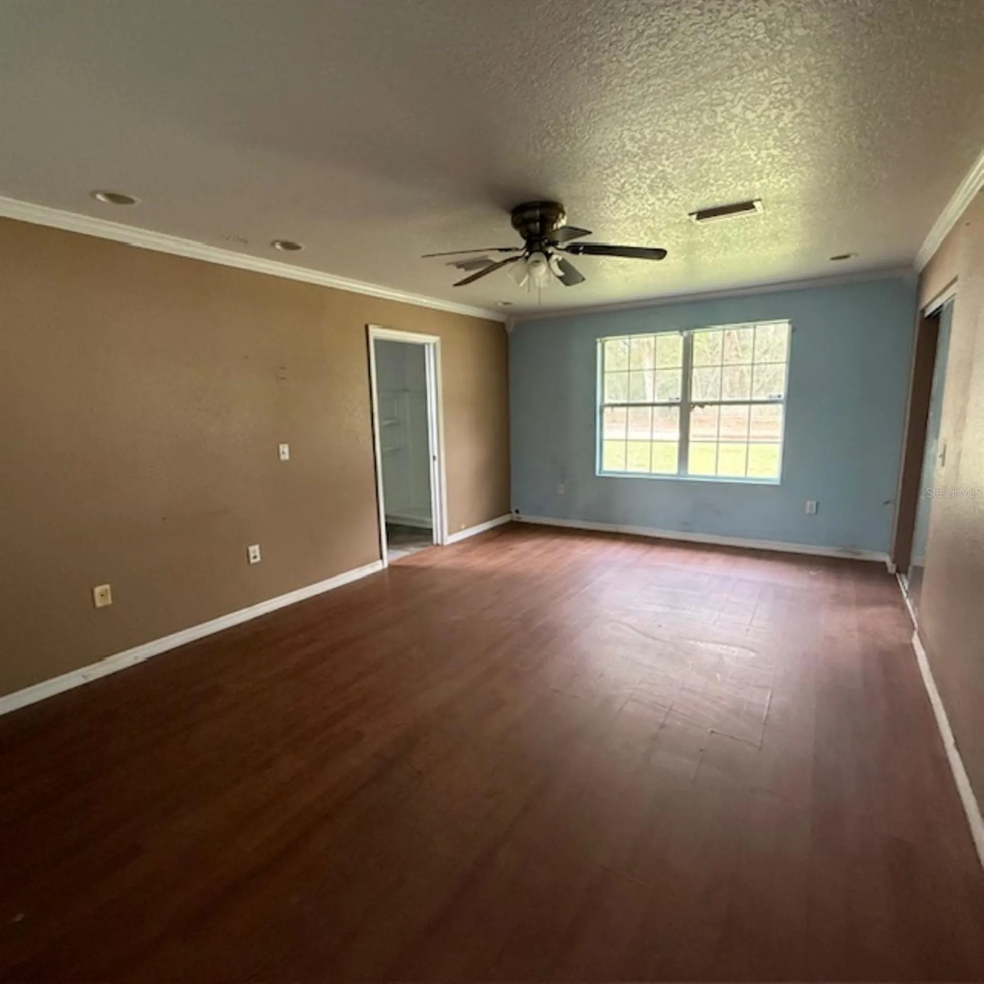 Summerfield FL 34491