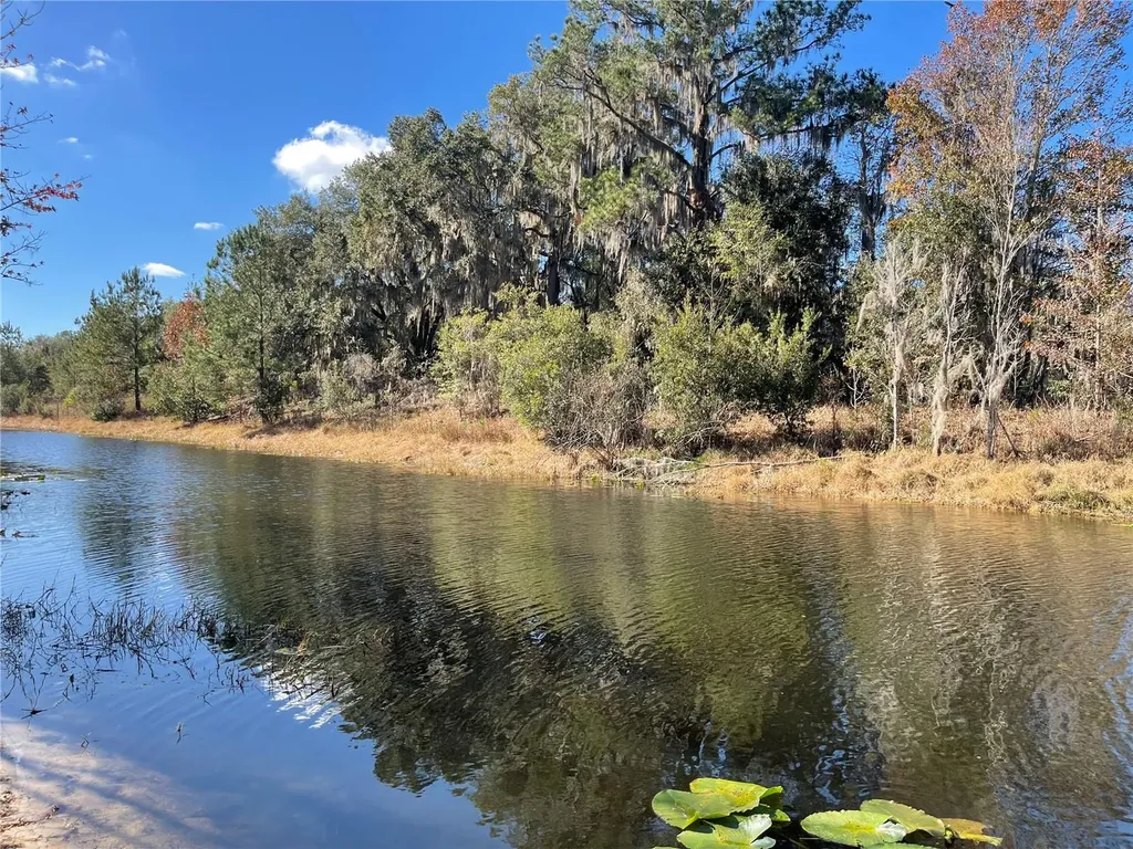 24510 NE State Road 26 Melrose FL 32666