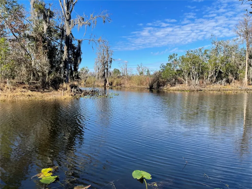 24510 NE State Road 26 Melrose FL 32666