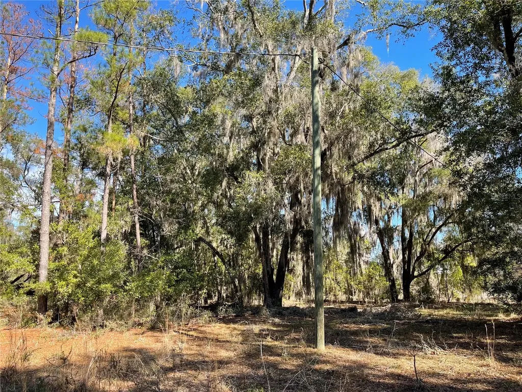 24510 NE State Road 26 Melrose FL 32666